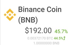 BNB Is Almost 200$! Sick Run!
