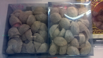 My trip around Asia, Malaysia, George Town, bird nests