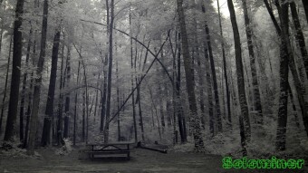 Wildcat Creek Campground - Infrared Photography