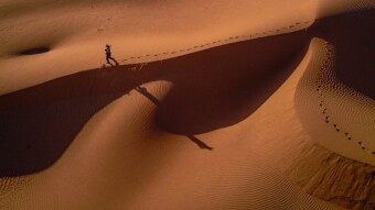 Quicksand Life.