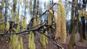 The weather is improving but much colder - in search of spring - My Actifit Report Card: February 8 2024