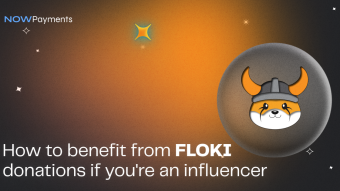 Benefits of donations in FLOKI for influencers