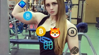 The Seven Biggest Altcoin Gainers – October 1st to October 8th