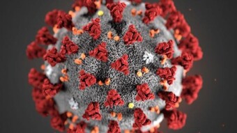 Conspiracy theories on Corona virus epidemic are childish and ridiculous!