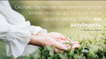 29 марта - праздники и исторические события дня