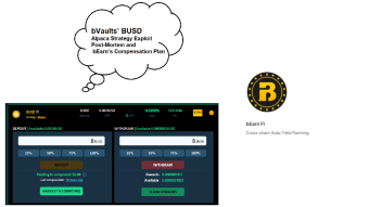 bVaults’ BUSD Alpaca incident: what happened?