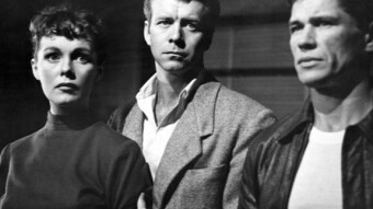 Crime Wave (1953)