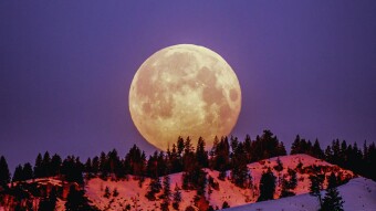 The Full Moon