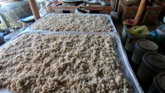 Cambodia, Battambang - homemade rice alcohol production - my journey through Asia
