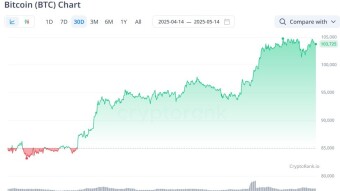 "We should not rule out a bold forecast." To what level will Bitcoin grow?