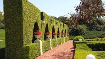 Time to Start Deploying the Hedge?