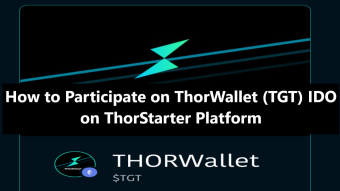 How to Participate on ThorWallet (TGT) ICO on Thorstarter platform to Buy Cheap TGT Tokens