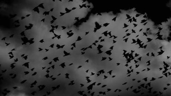 SPOOKY! 👻 vBAT not in custodial accounts is flying away! 🦇