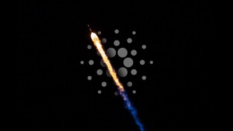 Cardano To The Moon Launching Stake Platform!!!