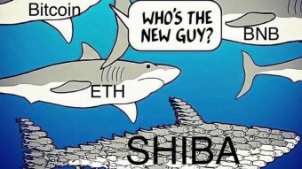Level 6: #SHIBARMY