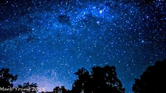 Stars Revealed