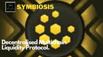 Symbiosis: A Decentralized Multi-chain Liquidity Protocol  With Low Slippage