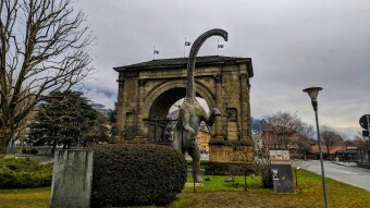 Diplodocus Longus