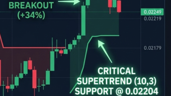 ⚖️ PEPE, PAXG and SUI: three different stories in one market