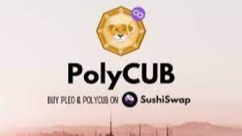 Buy The Dip - PolyCub Opportunities