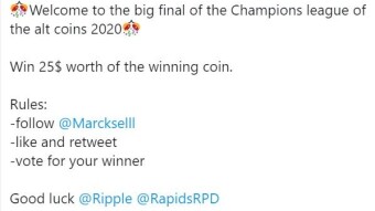 Rapids is in the Final of the Champions League of the Altcoins 2020