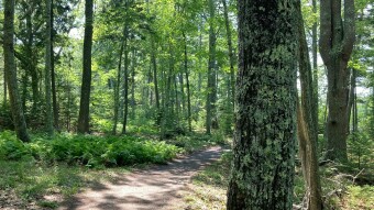 Exploring Maine, Part II - Going a Bit Further North