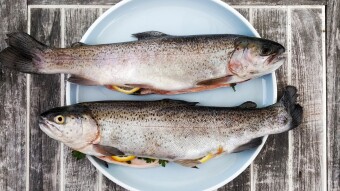 God Dictated a Recipe to Me - A Story of Simple Obedience