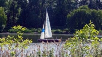 The sailing season is open, the honest omega is in battle - My Actifit Report Card: May 19 2024