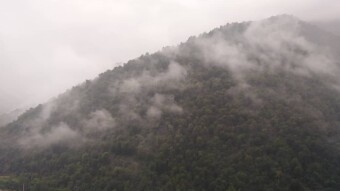 After Weeks of Heat and Drought... It Finally Rained