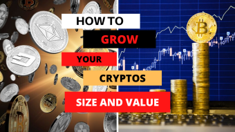HOW TO GROW YOUR CRYPTOS SIZE AND VALUE AS YOU HODL %%%