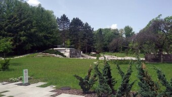 Hot on Wednesday and without rain. Finally Summer - My Actifit Report card: June 4, 2025