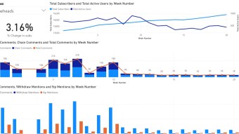Coneheads community analysis