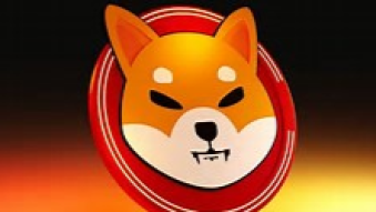 Rumors of Shiba Inu ETF spike burn rates