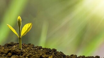 The Bank and The Crypto