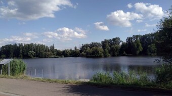 Big noise in Silesian Park - My Actifit Report Card: June 19, 2025