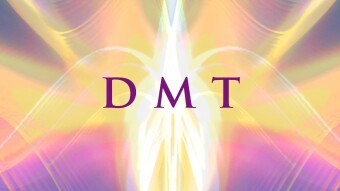 Bryan Divisions & The Mixed Hippie - DMT [Official Audio]