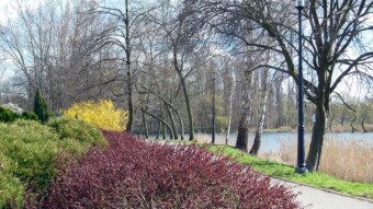 Sunday with a cool wind but pleasant and lots of sunshine - My Actifit Report Card: March 17 2024
