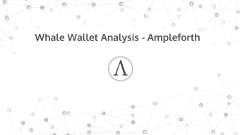 Whale Wallet Analysis - Ampleforth Update 6 Months Later