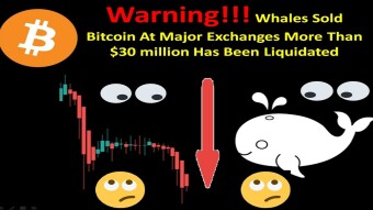 Warning!!! Whales Sold Bitcoin At Major Exchanges More Than $30 million Has Been Liquidated