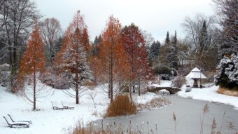 From my winter life, interesting, shallow, popular, something?