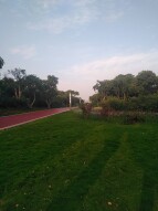 Amazing graphene ecology