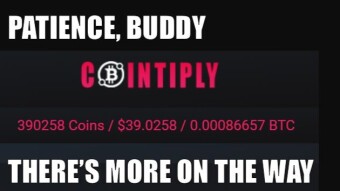 $50 in 3 Weeks - My Review and Guide to Cointiply