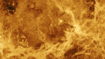 Did we discover microbial life on Venus?