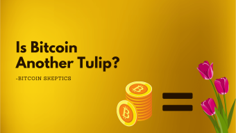 Would Bitcoin Eventually Become Tulip Mania? Here’s My Take…