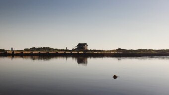 Trip to Salt Pans - Salinas de Aveiro | Portugal