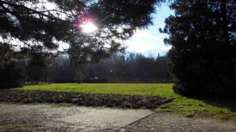 Continuation of the Spring Aura, and with the sun - My Actifit Report Card: Derecge 18 2024