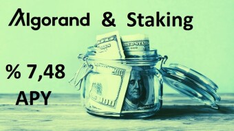Algorand Web Wallet Algo Staking with 7.48% APY Earnings