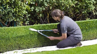 The First Hedge