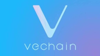 VeChain - The Sleeping Giant