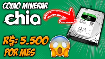HOW TO MINER CHIA COIN WITH HD AND SSD - WORTH THE MINING? HOW MUCH WILL I EARN?